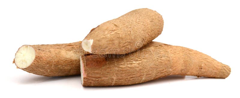 Raw yucca on white background-Manihot esculenta. Cassava raw tuber. Nutritional, oceania. Raw yucca on white background-Manihot esculenta. Cassava raw tuber. Nutritional, oceania.